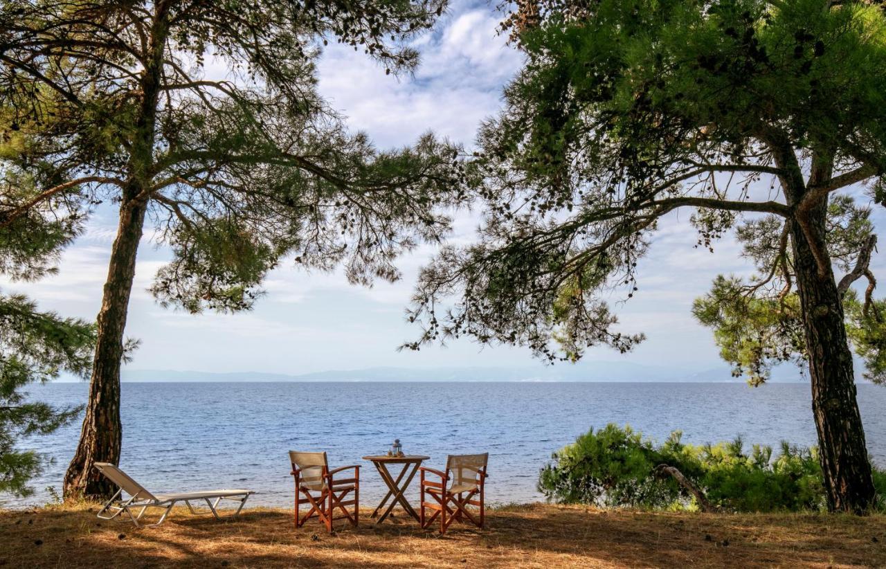 Pinereef Blue Villa Skala Rachoni  Dış mekan fotoğraf