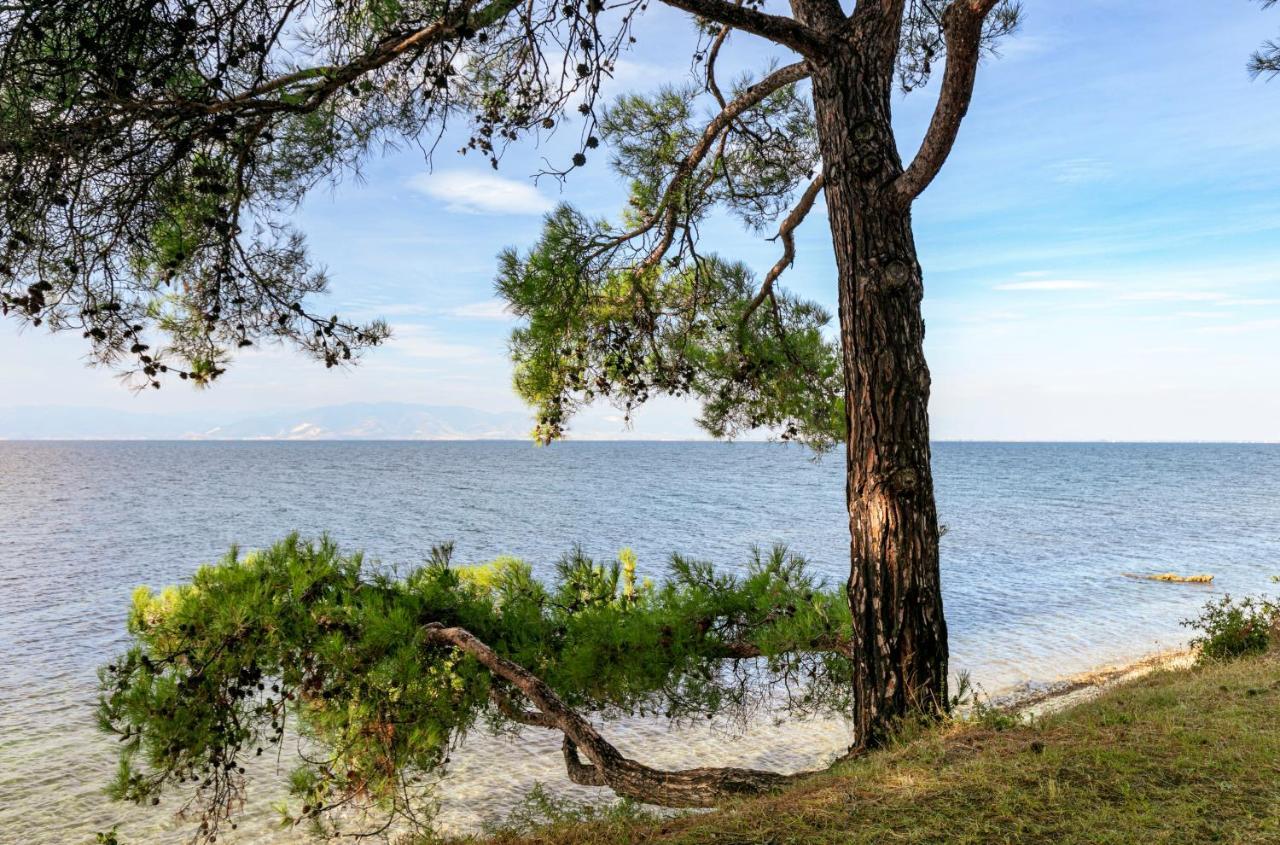 Pinereef Blue Villa Skala Rachoni  Dış mekan fotoğraf